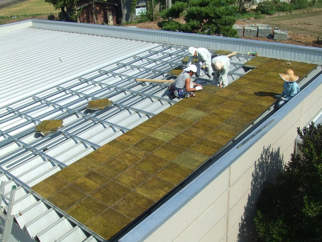 屋根緑化施工